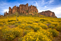 Superstition Mountain Gold