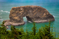 Arch Rock Pines