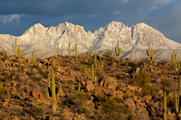 Four Peak snow above the Sonoran Desert
