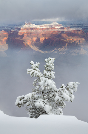 Grand Canyon Snow Storm-128