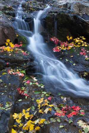 Workman Creek autumn cascade
