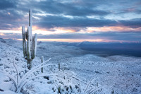 Sierra Anchas sunrise saguaro snow