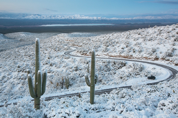 Sierra Anchas saguaro snow winding road
