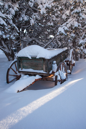 Navajo National Mon. snow wagon