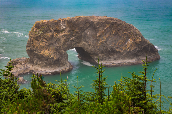 Arch Rock Pines