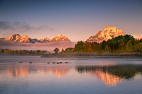 Oxbow Bend Geese