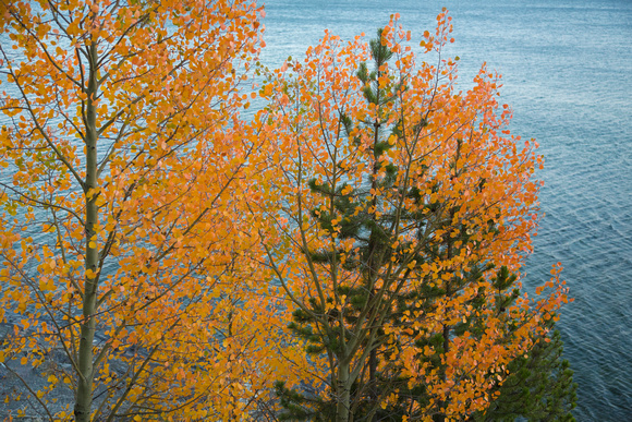 Yellowstone Lake autumn