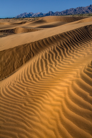 Ripples and dunes