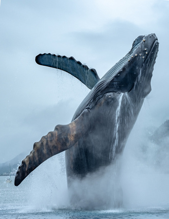 Tahku, the Alaska Whale Sculpture