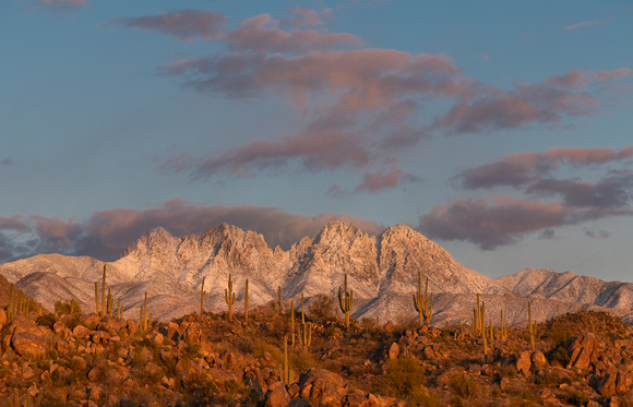Saguaros and Snow, 4 Peaks, AZ._128-H