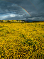 Carrizo Plain Rainbow
